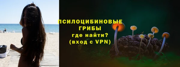 прущий лед Алексин