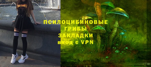 прущий лед Алексин