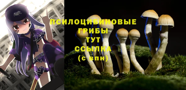 прущий лед Алексин